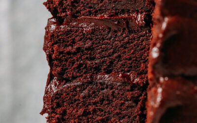 Pastel de chocolate vegano sin gluten de 1 tazón