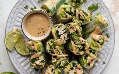Rollos de verano de aguacate con salsa de coco y maní